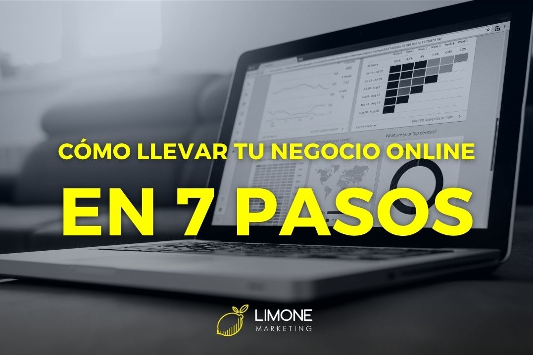Cómo llevar un negocio online en 7 pasos - Limone Marketing