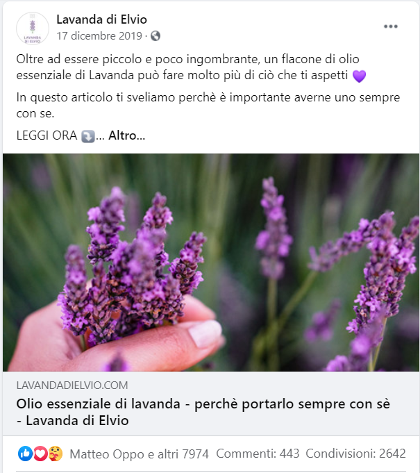 Lavanda di Elvio