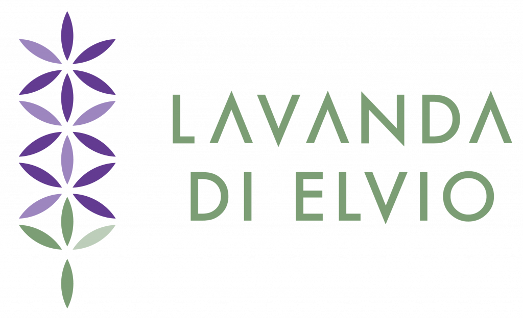 Lavanda di Elvio